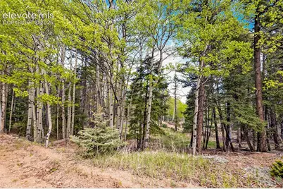 714 Will Stutley Drive, Divide, CO 80814 - Photo 17