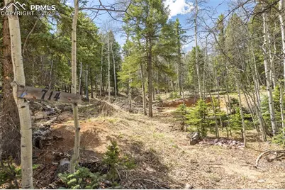 714 Will Stutley Drive, Divide, CO 80814 - Photo 5