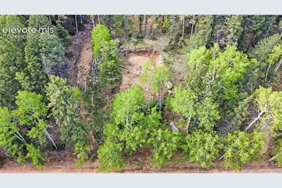 714 Will Stutley Drive, Divide, CO 80814 - Photo 19