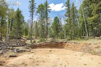 714 Will Stutley Drive, Divide, CO 80814 - Photo 7