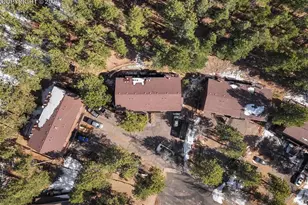 554 Manor Ct, Woodland Park, CO 80863 - Photo 29