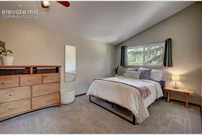 455 Red Feather Lane, Woodland Park, CO 80863 - Photo 21