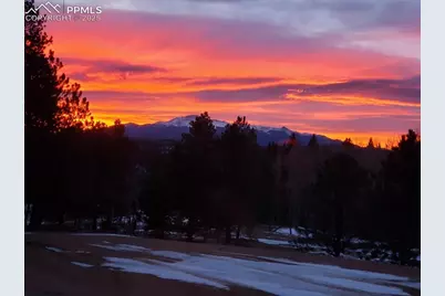 4710 Wildhorn Road, Florissant, CO 80816 - Photo 41