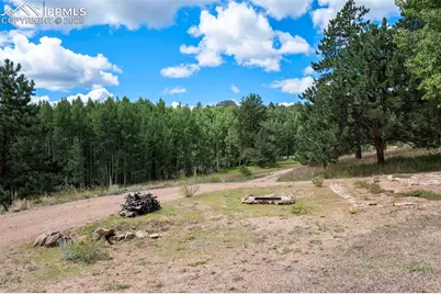 4710 Wildhorn Road, Florissant, CO 80816 - Photo 37