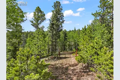 65 Spruce Creek Road, Divide, CO 80814 - Photo 1