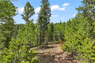 65 Spruce Creek Rd, Divide, CO 80814 - Photo 1
