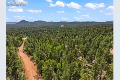 65 Spruce Creek Road, Divide, CO 80814 - Photo 5