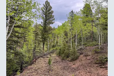 65 Spruce Creek Road, Divide, CO 80814 - Photo 25