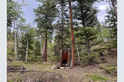 65 Spruce Creek Road, Divide, CO 80814 - Photo 33