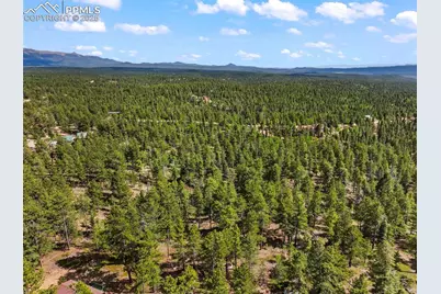65 Spruce Creek Road, Divide, CO 80814 - Photo 17