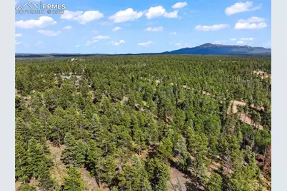 65 Spruce Creek Road, Divide, CO 80814 - Photo 9