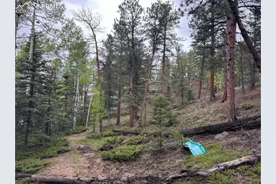 65 Spruce Creek Road, Divide, CO 80814 - Photo 27