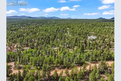 65 Spruce Creek Road, Divide, CO 80814 - Photo 13