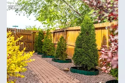 4891 Tawny Ridge Drive, Colorado Springs, CO 80916 - Photo 27