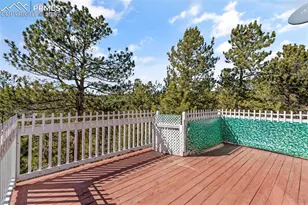 487 Maroon Lake Cir, Divide, CO 80814 - Photo 29