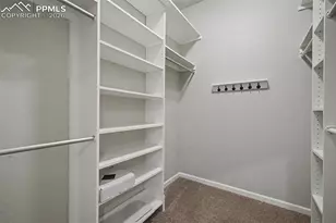 8426 Snow Cap View, Colorado Springs, CO 80920 - Photo 19