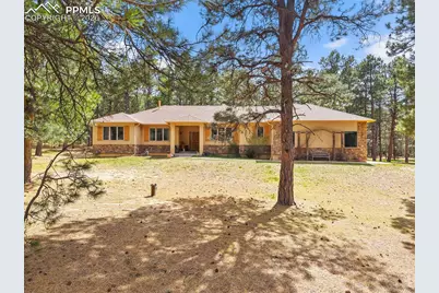 4235 Slash Pine Drive, Colorado Springs, CO 80908 - Photo 3