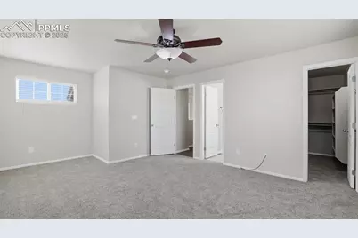 7932 Steward Lane, Colorado Springs, CO 80922 - Photo 23