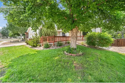 5970 Fescue Drive, Colorado Springs, CO 80923 - Photo 5
