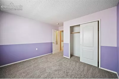5970 Fescue Drive, Colorado Springs, CO 80923 - Photo 29