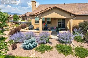 12994 Cupcake Heights, Colorado Springs, CO 80921 - Photo 37