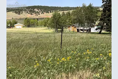216 Will Scarlet Drive, Divide, CO 80814 - Photo 5