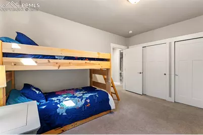 1145 Ptarmigan Drive, Woodland Park, CO 80863 - Photo 37