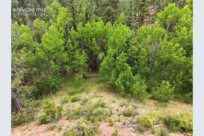 1310 Park Ridge Drive, Guffey, CO 80820 - Photo 31