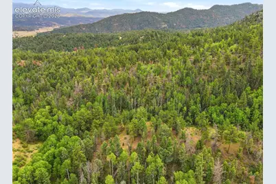 1310 Park Ridge Drive, Guffey, CO 80820 - Photo 15