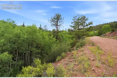 1310 Park Ridge Drive, Guffey, CO 80820 - Photo 23