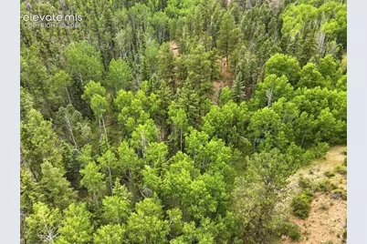 1310 Park Ridge Drive, Guffey, CO 80820 - Photo 29