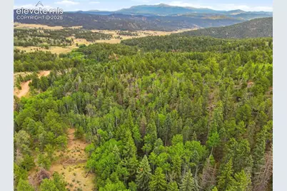 1310 Park Ridge Drive, Guffey, CO 80820 - Photo 9