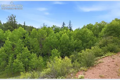 1310 Park Ridge Drive, Guffey, CO 80820 - Photo 19