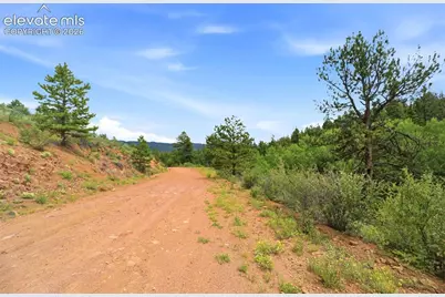 1310 Park Ridge Drive, Guffey, CO 80820 - Photo 21