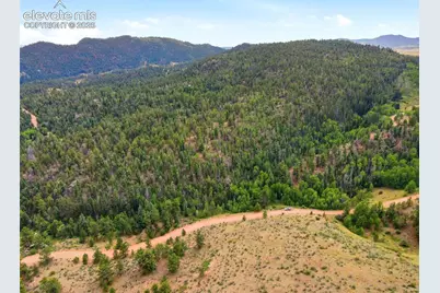 1310 Park Ridge Drive, Guffey, CO 80820 - Photo 13
