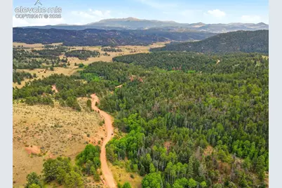 1310 Park Ridge Drive, Guffey, CO 80820 - Photo 5