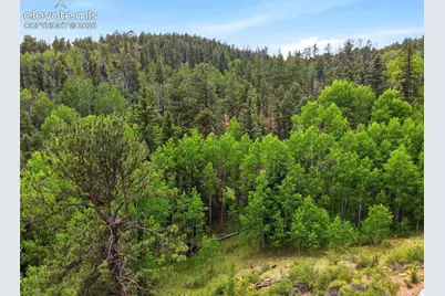 1310 Park Ridge Drive, Guffey, CO 80820 - Photo 33