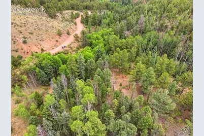 1310 Park Ridge Drive, Guffey, CO 80820 - Photo 3