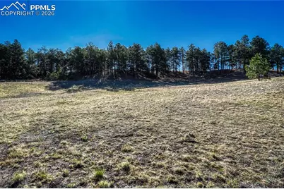 19089 Malmsbury Court, Monument, CO 80132 - Photo 5