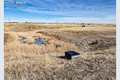 20533 Blue Springs View, Peyton, CO 80831 - Photo 9