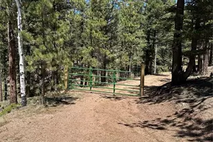 305 &amp 281 Midnight Ln, Florissant, CO 80816 - Photo 1