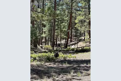 305 &amp; 281 Midnight Lane, Florissant, CO 80816 - Photo 15