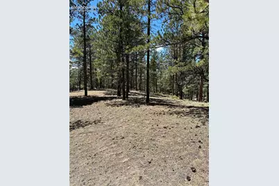 305 &amp; 281 Midnight Lane, Florissant, CO 80816 - Photo 13