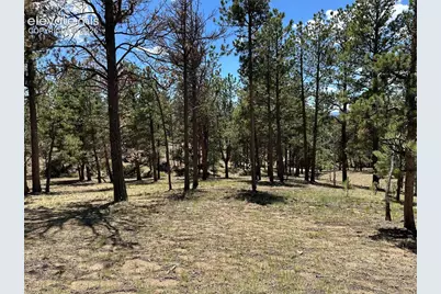 305 &amp; 281 Midnight Lane, Florissant, CO 80816 - Photo 11