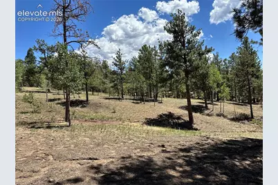 305 &amp; 281 Midnight Lane, Florissant, CO 80816 - Photo 17