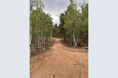 305 &amp; 281 Midnight Lane, Florissant, CO 80816 - Photo 23