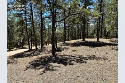 305 &amp; 281 Midnight Lane, Florissant, CO 80816 - Photo 19