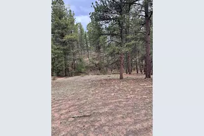 305 &amp; 281 Midnight Lane, Florissant, CO 80816 - Photo 25