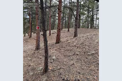 305 &amp; 281 Midnight Lane, Florissant, CO 80816 - Photo 27