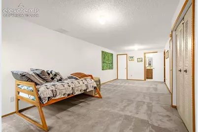2508 Blazek Loop, Colorado Springs, CO 80918 - Photo 17